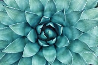 Karakteristik Kondisi Urban Heat Island DKI Jakarta Image