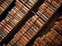 Identifikasi Kandungan Senyawa Antioksidan Dalam Kayu Secang (Caesalpinia Sappan) Image