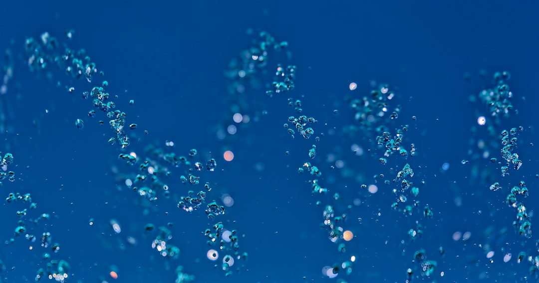 Pengaruh Fermentasi Terhadap Kandungan Protein Dan Komposisi Asam Amino Dalam Singkong Image