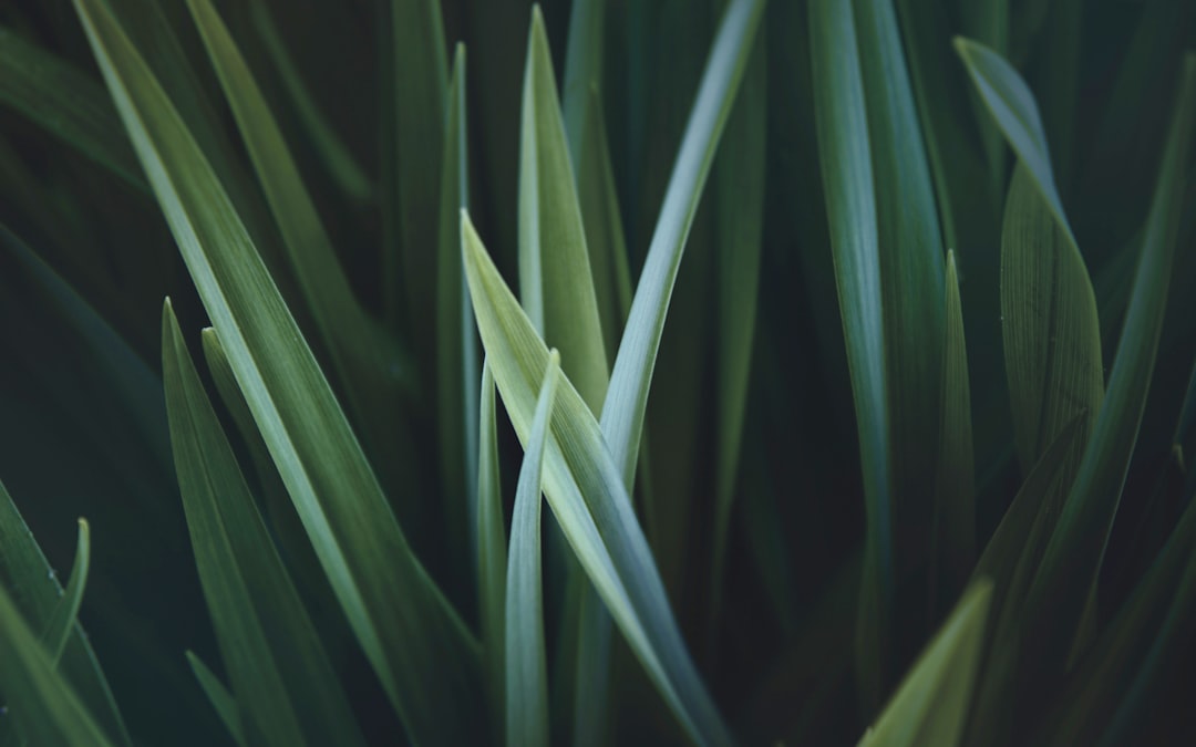 Perancangan Komik Strip Untuk Meningkatkan Semangat Kewirausahaan Image