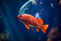 Analisis Daya Terima Antena Dan Radio Rocket M5 Client PT Jawa Pos National Network Medialink Pontianak Image