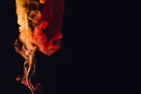 Penerapan Teknologi Dalam Upaya Membantu Proses Pengendalian Gulma Pada Tanaman Padi Image