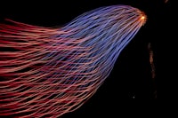 Artificial Rice as an Alternative Functional Food to Support Food Diversification Program Image