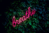 Prediksi Tingkat Pengangguran Menggunakan Adaptif Neuro Fuzzy Inference System (ANFIS) Image