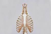 Perencanaan Bangunan Reservoir Dan Jaringan Pipa Distribusi Air Bersih Di Desa Randugading Kecamatan Tajinan Malang Image