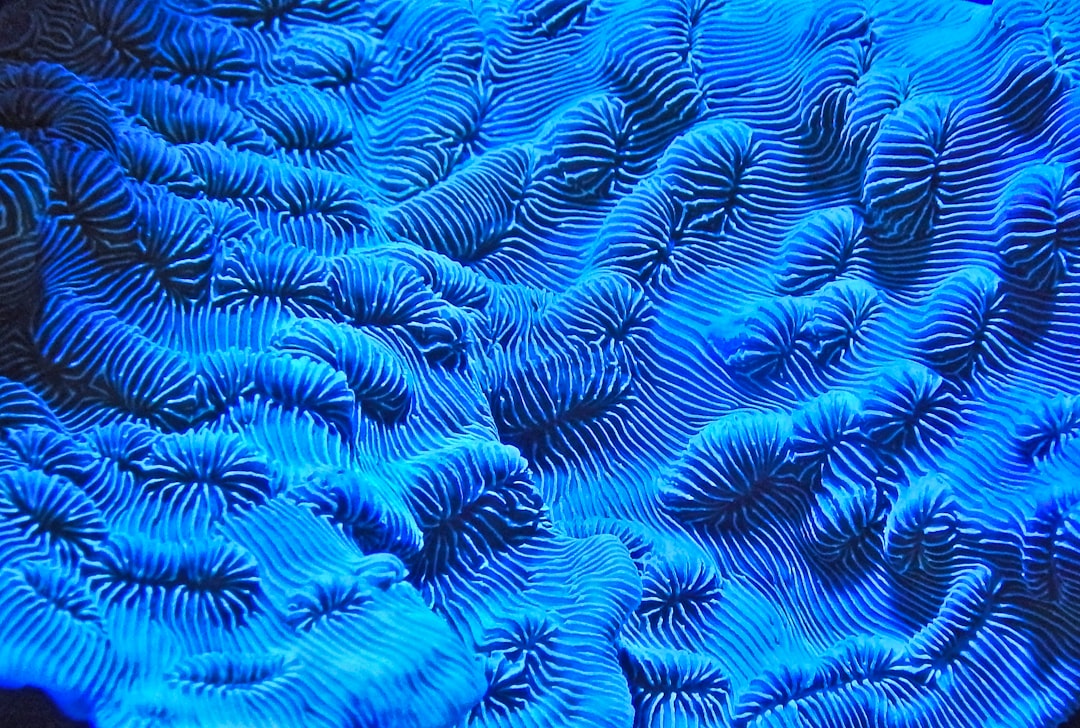 Kontroversi Transportasi Online sebagai Dasar Pembenahan Fasiltas Layanan Penumpang Bagi Pelaku Bisnis Transportasi di Surabaya Image