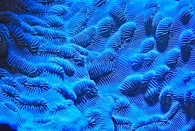 Perancangan Motor Listrik Bldc 10 Kw untuk Sepeda Motor Listrik Image