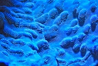 Perancangan Motor Listrik Bldc 10 Kw untuk Sepeda Motor Listrik Image