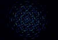 Analisis Faktor\u002Dfaktor Yang Mempengaruhi Keputusan Pendanaan Perusahaan: Pengujian Pecking Order Hyphotesis Image