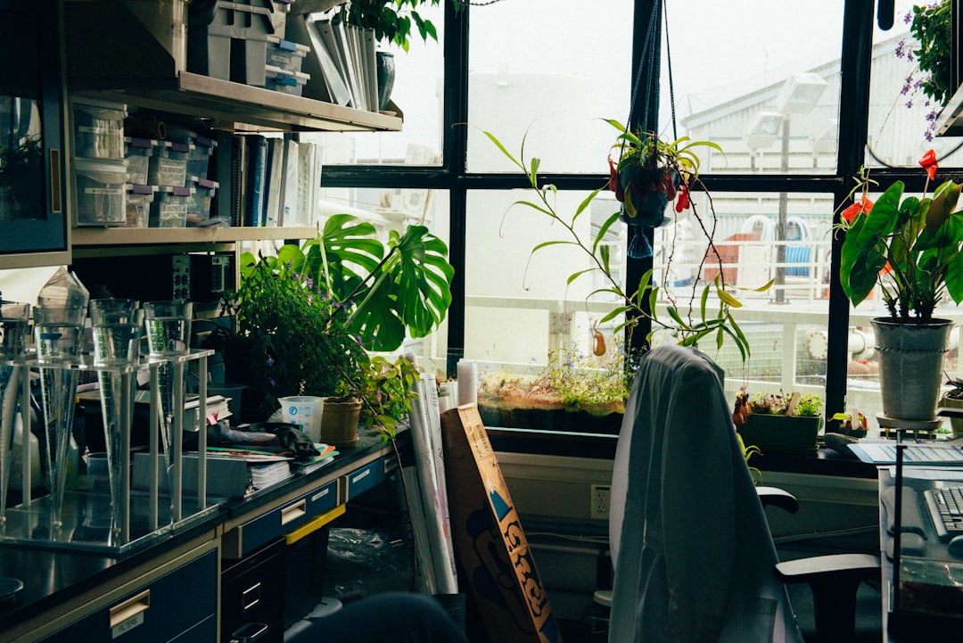 Teaching Writing of Argumentative Essay Using Collaborative Writing Technique Viewed From Students\u0027 Creativity: an Experimental Image