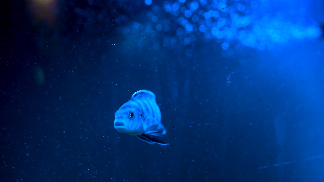 Peran Penyidik Polri dalam Pelimpahan Berkas Perkara pada Jaksa Penuntut Umum Berdasarkan Undang\u002Dundang Nomor 8 Tahun 1981 Tentang Kuhap Image