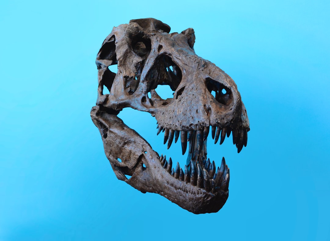 Penegakan Hukum terhadap Warga Negara Asing yang Melakukan Penangkapan Ikan di Zeei Kalimantan Barat Ditinjau dari Pasal 102 Undang\u002Dundang Nomor 45 Tahun 2009 Tentang Perubahan Atas Undang\u002D Undang Nomor 31 Tahun 2004 Tentang Perikanan Image