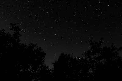 Kualitas Produk, Citra Merek, Persepsi Harga dan Keputusan Pembelian Konsumen Honda Mobilio Image