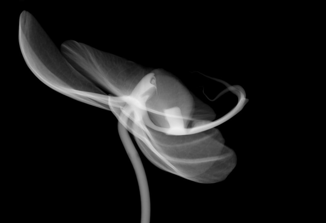 Kadar Air, Ph, Dan Kapang Ikan Cakalang (Katsuwonus Pelamis L.) Asap Cair Yang Dikemas Vakum Dan Non Vakum Pada Penyimpanan Dingin Image