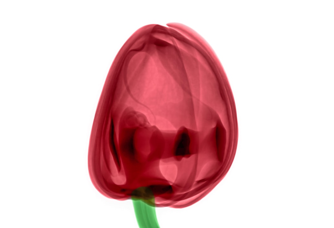 Effectiveness of Progressive Relaxation Therapy Among Clients with Risk of Violence Behavior in Indonesia Image