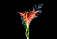 Prinsip Checks And Balances dalam Sistem Ketatanegaraan Indonesia Image