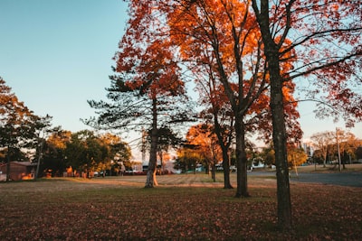 Landasan Pengembangan Filsafat Pancasila Image