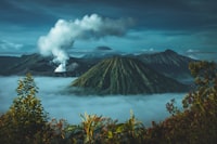 Mikrobioma: Pemahaman Baru Tentang Peran Mikroorganisme dalam Kehidupan Manusia Image