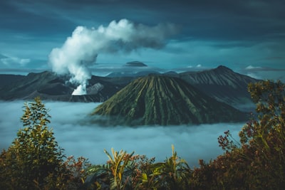 Mikrobioma: Pemahaman Baru Tentang Peran Mikroorganisme dalam Kehidupan Manusia Image