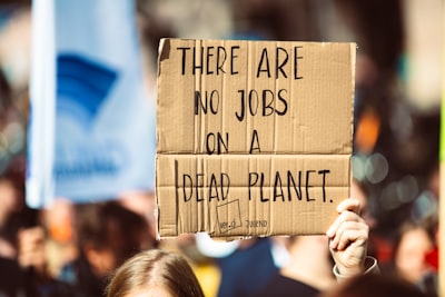 Evaluation of Semen Quality of Buffalo Frozen Semen Produced by Artificial Insemination Center Image