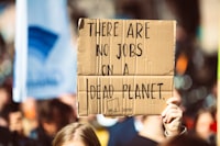 Evaluation of Semen Quality of Buffalo Frozen Semen Produced by Artificial Insemination Center Image