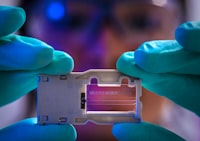 Bilangan Reproduksi Dasar Model West Nile Virus Menggunakan Matriks Next Generation Image