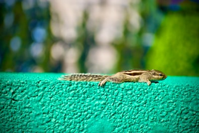 The Effect of Tuberculosis on the Growth and Development of Children in Indonesia Image