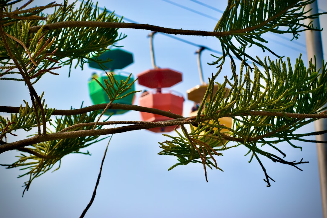 Socio\u002Deconomic History: the Trend in the Study on Indonesian History 1950\u002D1980s Image