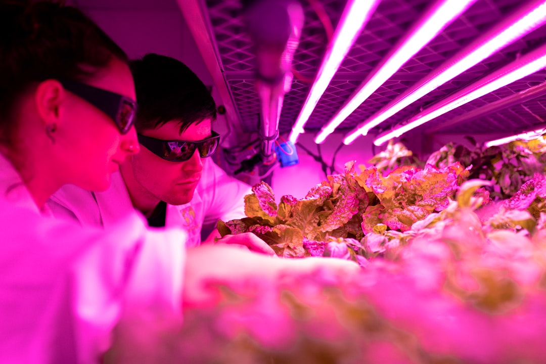 Classification of Benthic Habitat Based on Object with Support Vector Machines and Decision Tree Algorithm Using Spot\u002D7 Multispectral Imagery in Harapan and Kelapa Island Image