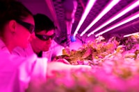 Classification of Benthic Habitat Based on Object with Support Vector Machines and Decision Tree Algorithm Using Spot\u002D7 Multispectral Imagery in Harapan and Kelapa Island Image