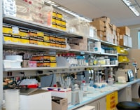 Role of HRM Practices in Performance of Organization Image