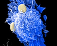 Biologi, Sains, Lingkungan dan Pembelajarannya dalam Upaya Peningkatan Kemampuan dan Karakter Siswa Image