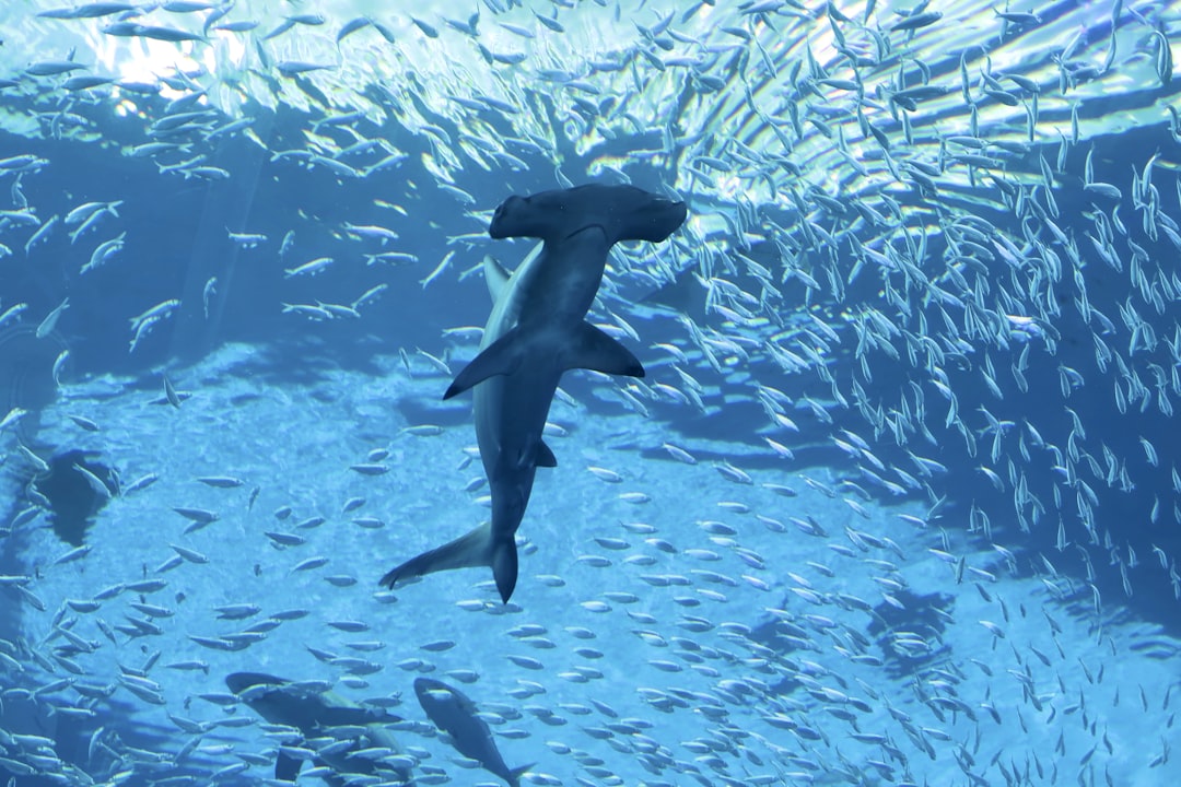 Pengembangan Spreadsheet Untuk Perhitungan Kapasitas Baja Canai Dingin (Profil Z Dengan Stiffener, Profil I Dan O Dari Dua Profil Kanal C) Berdasarkan Sni 7971:2013 Image