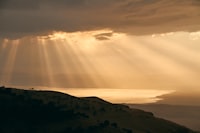 Kategorisasi Jenis Interaksi antara Pemerintah dan Masyarakat dan Popularitas Media Sosial Pemerintah Daerah Image