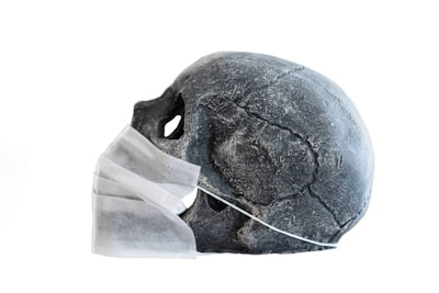 Pemanfaatan Sumber Daya Alam Terbarukan dalam Model Sewa Ekonomi Image