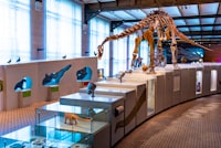 Pengembangan Tes Diagnostik sebagai Alat Evaluasi Kesulitan Belajar Fisika Image