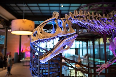 Karakteristik Kadar Sukrosa, Glukosa dan Fruktosa pada Beberapa Produk Gula Aren Image