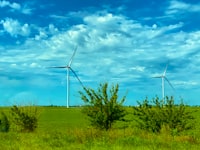 Identification of the Marginalized Urban Communities Characteristics and Preferences Image