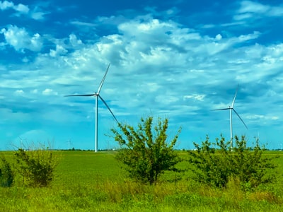 Identification of the Marginalized Urban Communities Characteristics and Preferences Image