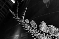 Motivation In Sport Psychology Image