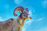 Potensi Ekonomi Ikan Dan Produk Perikanan Indonesia Dalam Lingkup Masyarakat Ekonomi ASEAN Image