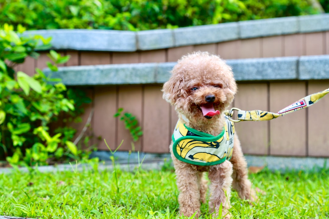 Sindrom Hemolitik Uremik Di Bagian Ilmu Kesehatan Anak Fkui\u002Drscm Jakarta Image