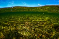 Country\u002Dlevel Determinants, Takeover Locations, and the Gains to Target Firms Image