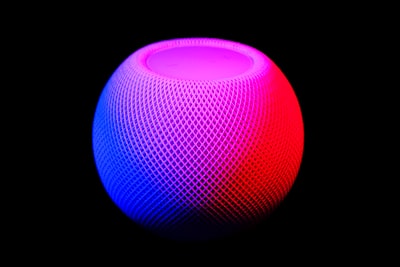 Xgboost in Environmental Ecology: A Powerful Tool for Sustainable Insights Image