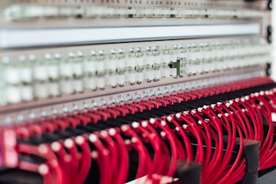 A Collaborative Research to Improve Kingdom Animalia Lesson Plan at High School Image