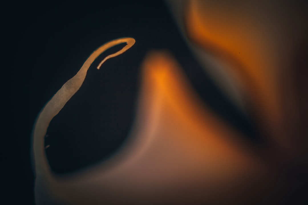 Pengaruh Pemberian Bokashi Tandan Kosong Kelapa Sawit terhadap Pertumbuhan dan Hasil Tanaman Jagung pada Tanah Aluvial Image