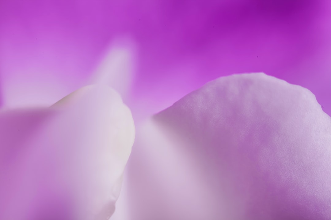 Penyelenggaraan Pelayanan Publik Di Indonesia, Sudahkah Berlandaskan Konsep “Welfare State”? Image