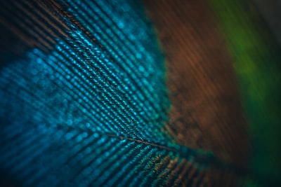 A Case Study on the Irregularity of Student in School Image