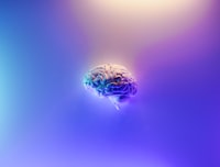 The Usage of Fly Ash for Reclaimed Asphalt Pavement (RAP), Asphalt Concrete Binder Course (AC\u002DBC) Filler Image