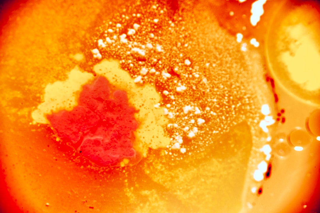 Perancangan Interior International Culinary School di Surabaya Image